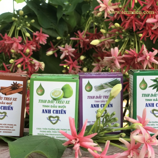 TINH DẦU BƯỞI 20ML