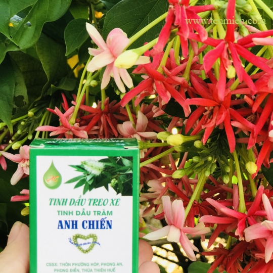 Tinh Dầu Tràm Anh Chiến