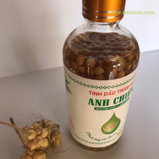 Tinh Dầu Tràm Anh Chiến Hoa Ném (ngâm cùng hoa ném)