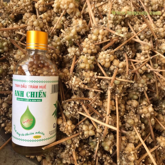 Tinh Dầu Tràm Anh Chiến Hoa Ném (ngâm cùng hoa ném)