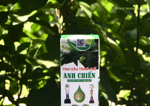 Tinh Dầu Tràm 50ML